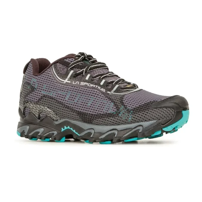Wildcat 2.0 GTX pentru femei (2023) Wildcat 2.0 GTX pentru femei (2023)